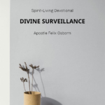 DIVINE SURVEILLANCE