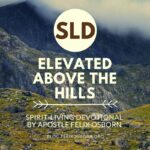 ELEVATED ABOVE THE HILLS