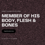 MEMBER OF HIS BODY, FLESH, AND BONES