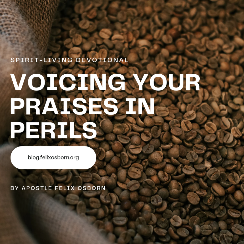 Voicing Your Praises In Perils