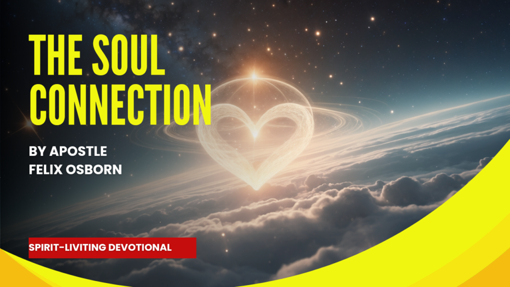 THE SOUL CONNECTION