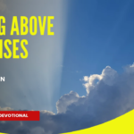 LIVING ABOVE OFFENCES