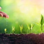 INCREASING YOUR FAITH