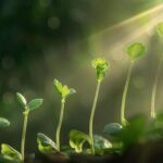 GROWING IN GRACE AND KNOWLEDGE