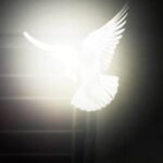 THE GREATER WITNESS WITHIN