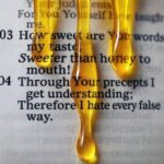 THE SWEETNESS AND THE WORD